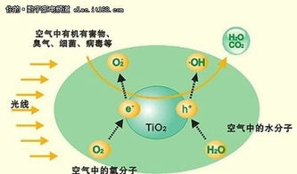 光触媒治理室内环境会产生 二次污染 专家这么说